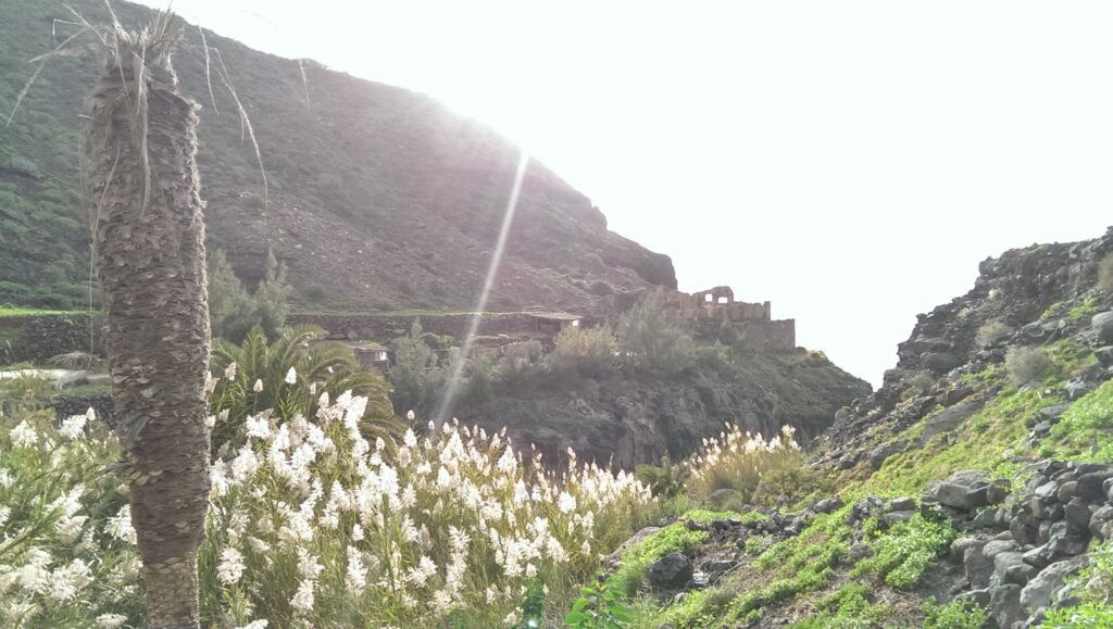 Wandern Gran Canaria