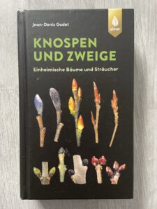 Knospen und Zweige im Winter bestimmen