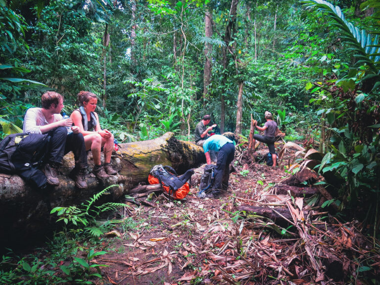 Unsere Gruppe macht Pause im Corcovado Nationalpark