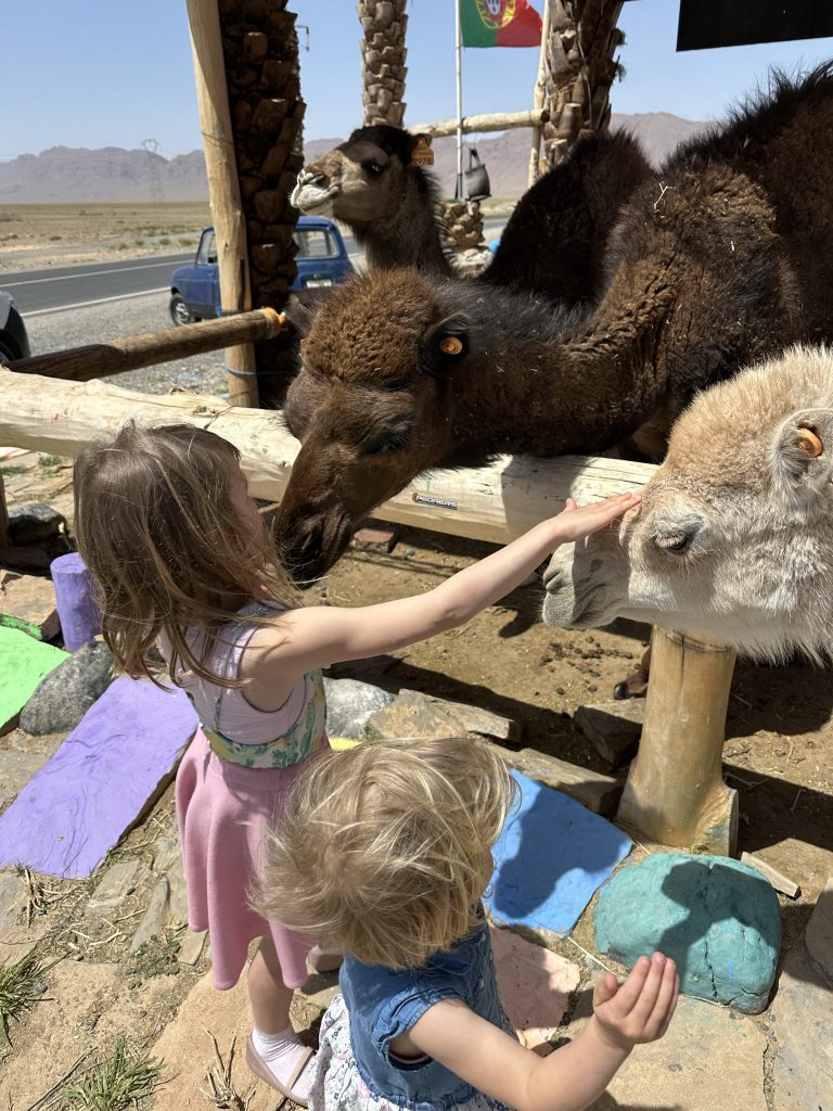 Kinder streicheln Dromedare Marokko