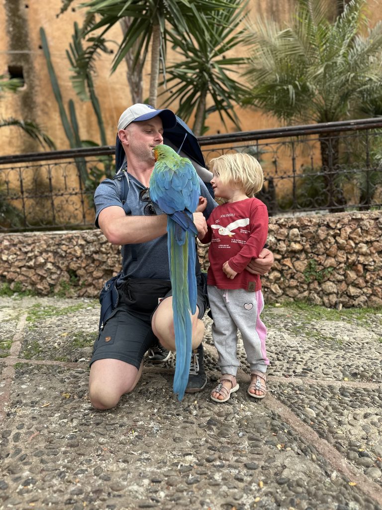 Papagei auf Schulter Chefchaouen