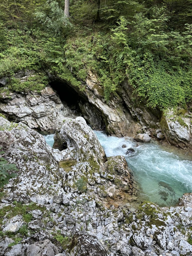 Fluss Radonva Vintgar Klamm
