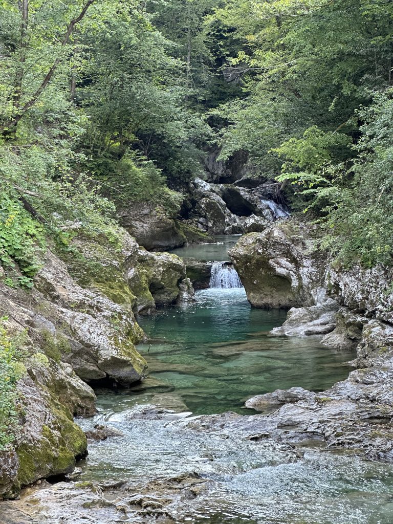 Flusslauf in der Vintgar Klamm