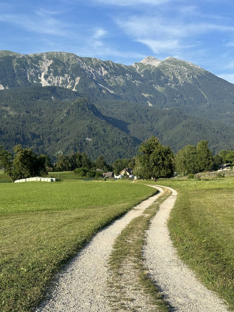 Wanderung zurück zum Parkplatz Blejska Dobrava